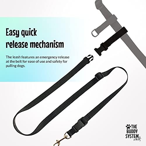 The Buddy System - Hands Free Dog Leash - Small Dog, Large Belt, Black