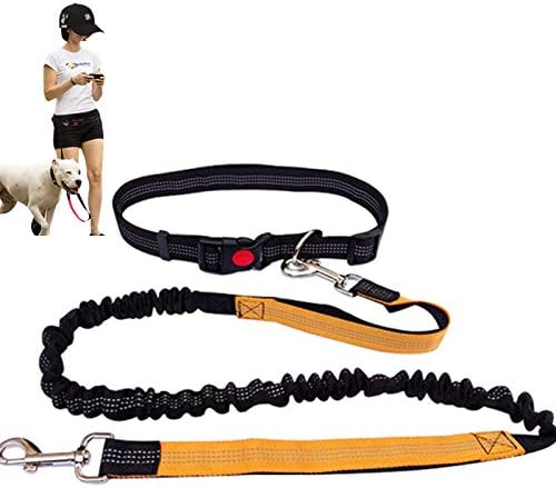 Retractable Hands Free Dog Leash for Running Walking Training Hiking,Bungee Waist Leash Adjustable Waist Belt Reflective Stitching Leash Shock Absorbing for Puppy, Small & Medium Dogs