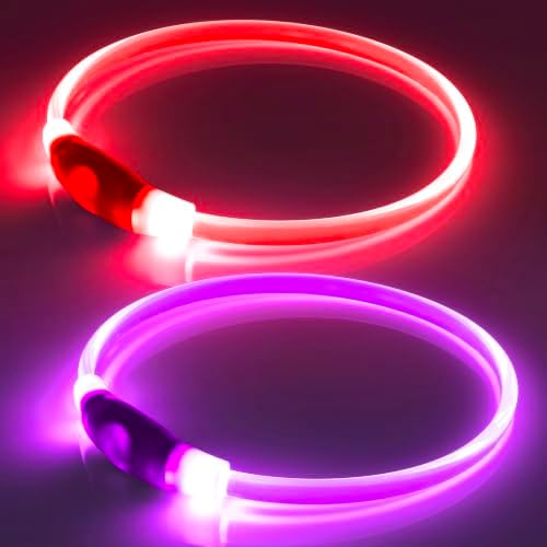 Light Up Dog Collar 2-Pack, USB Rechargeable for Small to Large Dogs