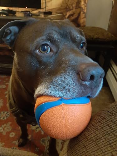 Rocky Mountain Goods Large Ball Dog Toy for Dogs 60 to 100 Pounds - Tough Fetch Ball for Aggressive Chewers - Thick Rubber Core - Ultra Bouncy - Floats in Water - High Visibility