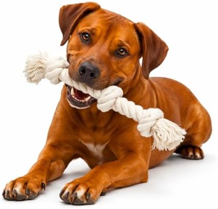 Dog Rope Toys for Large/Medium Aggressive Chewers, Tough Cotton Chew Toy, 22 Inch 3 Knots Indestructible, Tug of War Dog Pull Rope Teeth Cleaning (3 Knots)