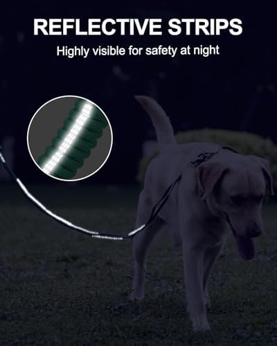Joytale Tactical Bungee Dog Leash, Shock Absorbing No Pull, Teal