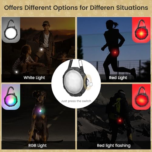 Super Bright Dog Collar Light for Night Walking, 4 Modes, Waterproof, 2 Pcs