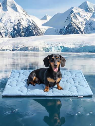 Huafly Dog Cooling Mat,Dual-Sided Cooling Mat for Dogs–Cooling Fabric for Summer,Velvet for All Seasons–Portable for Crate,Car Seat,Sofa&Floor,Machine Washable,Keeps Cats,Dogs&Puppies Cool,Cloud Blue