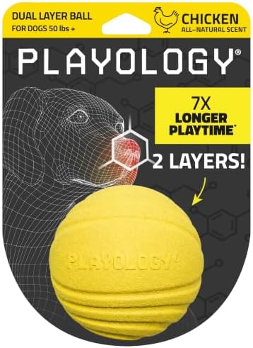 Playology Durable Large Dual Layer Dog Ball - Jumbo, Chicken Scent
