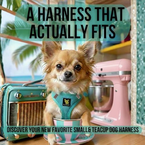 EcoBark Teacup Dog Harness, Soft Step in Puppy Vest, XXXS, Under 5 Lbs