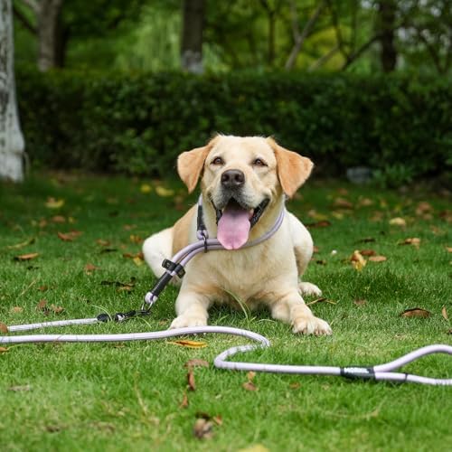 Long Dog Leash, 10ft 30ft 50 feet Heavy Duty Dog Training Leash, Aviation Aluminum Auto Locking Carabiner, Nylon Rope Long Line Check Cord Recall Lead for Yard,Playing,Camping,Blue,50FT
