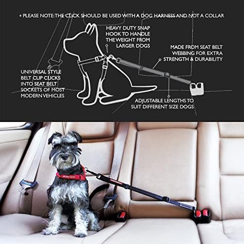 EzyDog Click - Dog Seat Belt Car Restraint - 17in - 26in