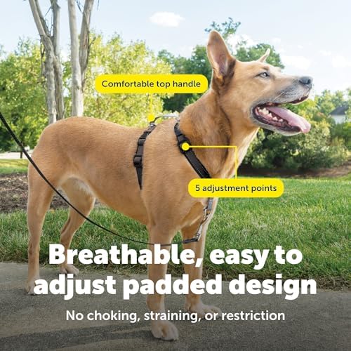 PetSafe 3 in 1 No-Pull Dog Harness - Walk, Train or Travel - Helps Prevent Pets from Pulling on Walks - Seatbelt Loop Doubles as Quick Access Handle - Reflective Accents - Medium, Black