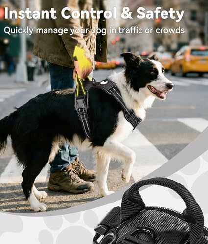 Joytale No Pull Dog Harness Medium Sized Dog, Front Clip, Black