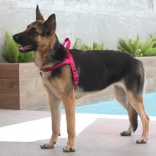 Plutus Pet No Pull Dog Harness for Large Dogs, Breathable Mesh Padded