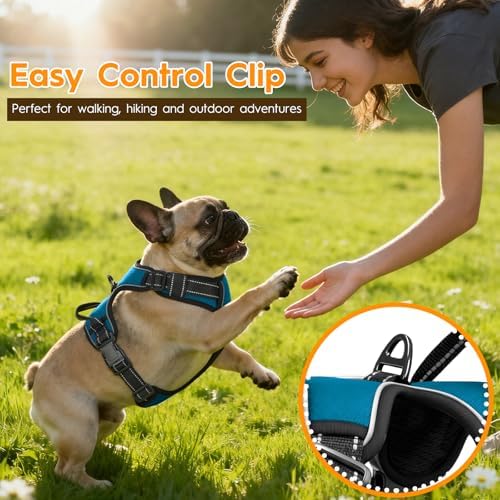 No Pull Dog Harness, No-Choke Soft Padded Reflective Dog Vest Harness with Front Clip & Top Handle, 2 Quick-Release Buckles, Adjustable for Small Medium Large Dogs