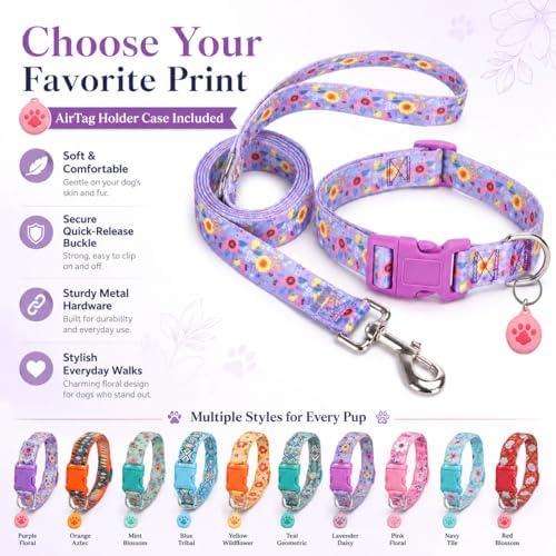 Floral Matching Dog Collar and Leash Set with AirTag Holder-Purple Daisy/L