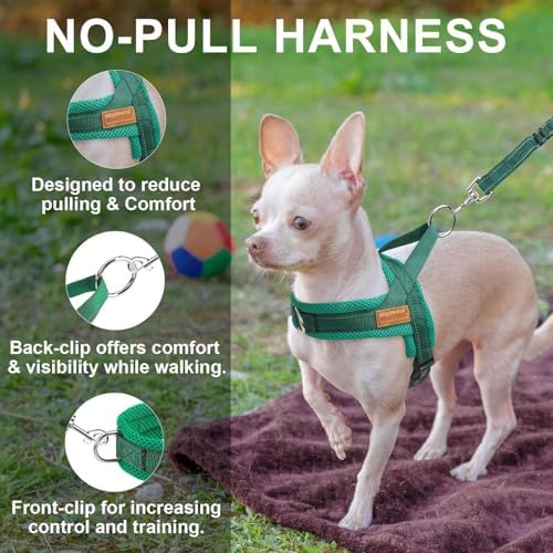 BEAUTYZOO Small Dog Harness and Leash Set, No Pull Step in Puppy Vest