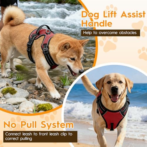 No Pull Dog Harness, No-Choke Soft Padded Reflective Dog Vest Harness with Front Clip & Top Handle, 2 Quick-Release Buckles, Adjustable for Small Medium Large Dogs