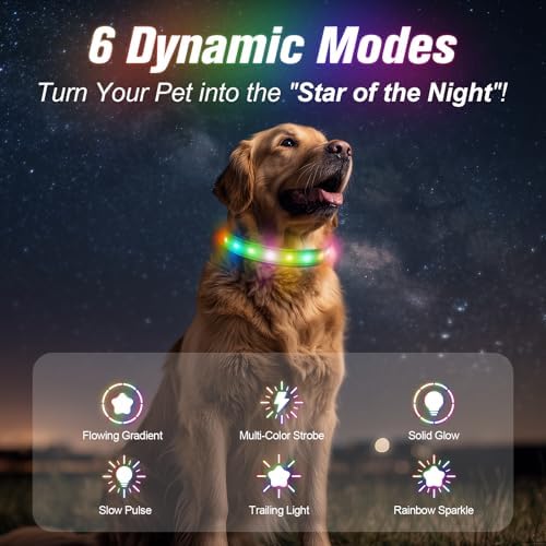 LED Dog Collar, RGB Light Up Dog Collar USB Rechargeable 6 Modes