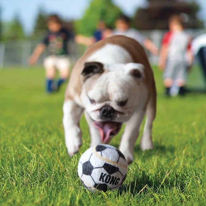 KONG Sport Soccer Ball Dog Toy (6 Pack, Small) Non-Abrasive Tennis Material, Extra-Thick Rubber for Durability – Tough Fetch & Bouncy Play Toy, No Squeaker for Quiet Play