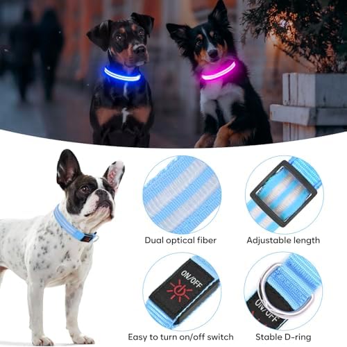 BSEEN Light Up Dog Collar - Glow in the Dark LED Dog Collar Rechargeable, Double Line Fiber Optic Lighted Puppy Collar, Safety Dog Lights for Night Walking (Blue, Medium)