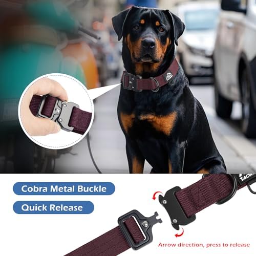 Dog Collar for Large Medium Small Dogs Leash Harness(Burgundy, XL)