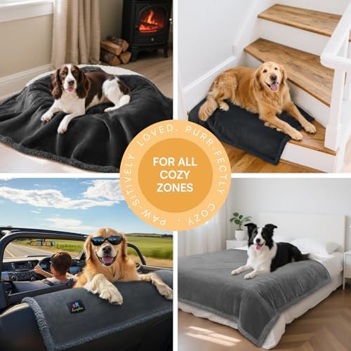 Luciphia Waterproof Bed Blanket Washable,Soft Sherpa Fleece Puppy Reversible Throw Blankets for Small Medium Dog Cat,Furniture Cover Protector Couch Bed from Liquid Pee and Pet Fur, Black,57" x 40"
