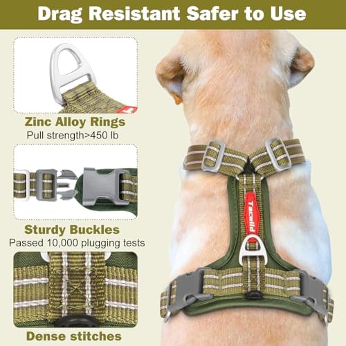 No Pull Dog Harness - Adjustable Reflective Dog Vest with Metal Snap, Soft Breathable Mesh No Choke Puppy Harness, Easy to Put on & Take Off (Green-XS)