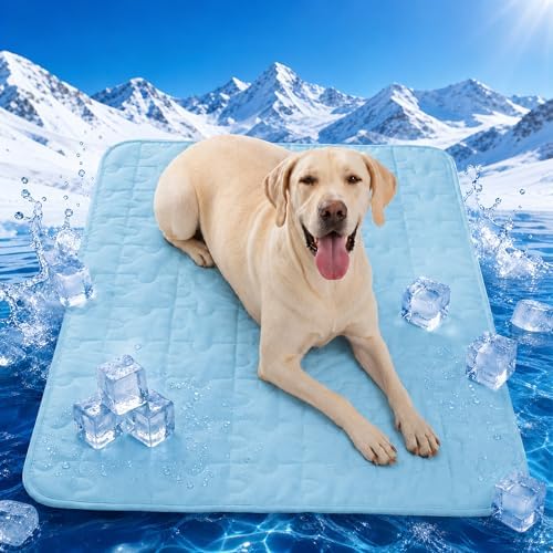 Cooling Dog Mat XX-Large, Breathable 3D Mesh No-Gel Pad, Blue