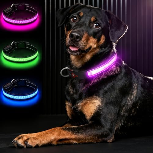 Light Up Dog Collar for Small Dogs, Super Bright Glow Collar, Pink