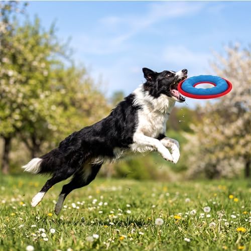 4 Pcs Dog Flying Discs Set 9.05 Inch Lightweight Nylon EVA Fetch Discs Float Water Safe Teeth Feedable Groove Design for Small Medium Large Dogs Blue Green Purple