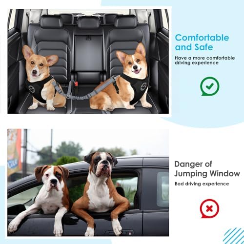 SlowTon Double Dog Seat Belt for Car with Elastic Bungee Buffer, Adjustable