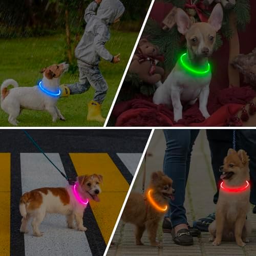 LED Dog Collar, Light Up Dog Collars USB Rechargeable for Night Walking-Fashion TPU Glowing Safety Pet Collar Lights for Small Dogs Cat(Pink)