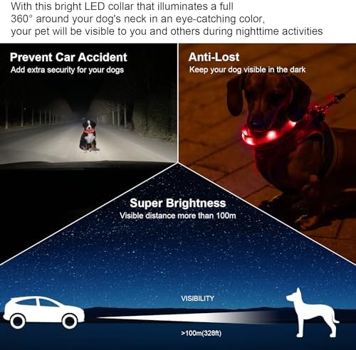 CHUKCHI LED Dog Collar Rechargeable,Waterproof Flashing Collar,Light Up Glow Collar, Adjustable Soft Safety Light Up for Small Medium Large Dogs Walking Camping at Night (Red-S)