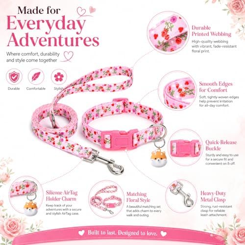 Floral Matching Dog Collar and Leash Set with AirTag Holder-Valentine's/S