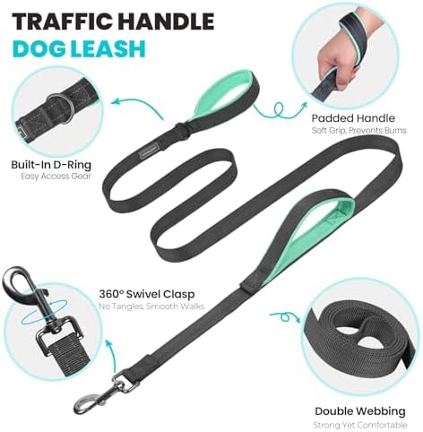 VIVAGLORY Double Handle Dog Leash Twingrip, 5ft x 1in, M, Grey