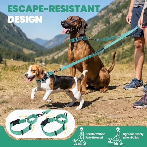 VIVAGLORY Double Handle Dog Leash Twingrip, 5ft x 1in, S, Turquoise