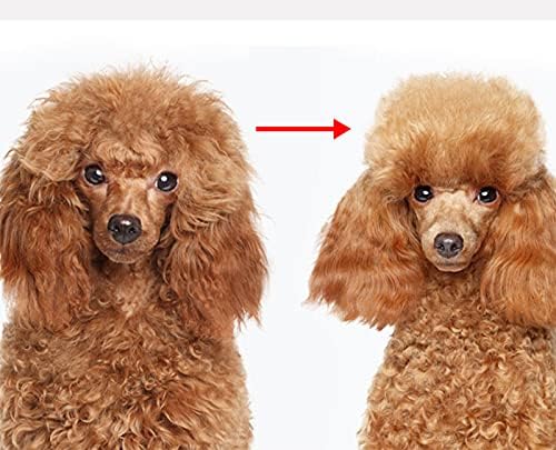 Pet Grooming Tool-2 Sided Undercoat Rake for Dogs &Cats-Safe and Effective Dematting Comb for Mats&Tangles Removing-Deshedding Brush for Large Dogs to Small Dogs(Small)
