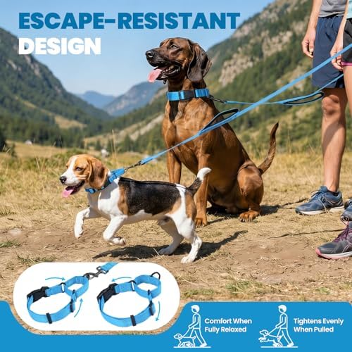 VIVAGLORY Double Handle Dog Leash Twingrip, 5ft x 1in, S, Blue