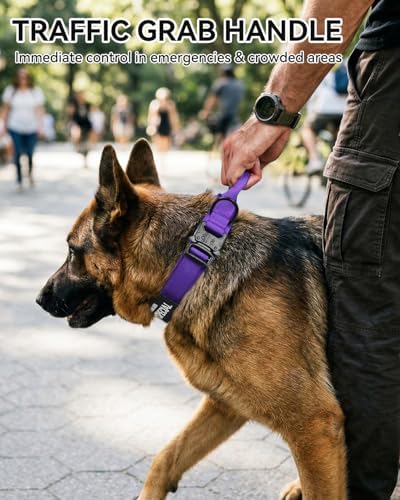 Joytale Tactical Dog Collar for Medium Dogs, Traffic Control Handle, Purple