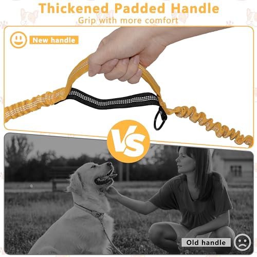 Hands Free Dog Leash with Zipper Pouch for Dog Walking