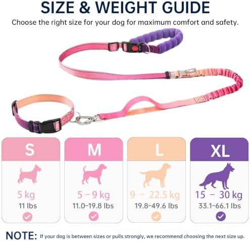 Hands Free Dog Leash and Collar Set, Shock Absorbing Tactical Leash with Padded Control Handle, Adjustable Nylon Collar for Medium Large Dog Running Waist Leashs for Walking (Pink, L(19.8lb~49lb))