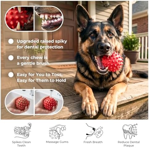 Beef-Flavored 3.5'' Tough Squeaky Ball for Dogs, 25-80lbs Pack of 2