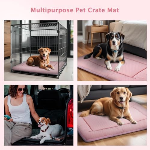 Dog Bed Mat, Crate Pad Reversible,Soft Kennel Pad, Washable Crate Mat (Cool and Warm),Pet Sleeping Mattress for Small Medium Dogs XB009