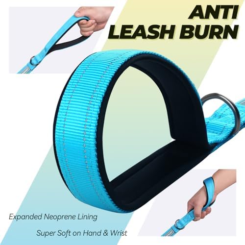 VIVAGLORY Double Handle Dog Leash Twingrip, 5ft x 1in, Blue