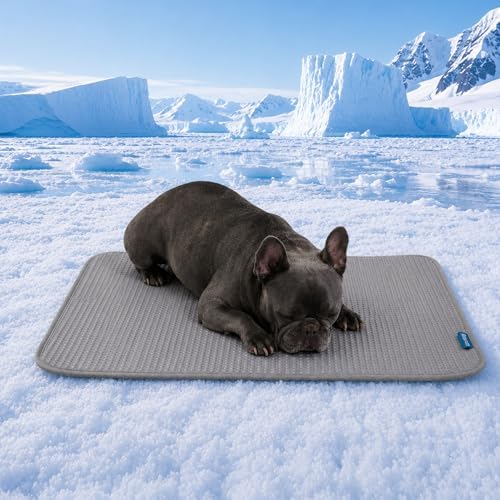 Spark Paws FrostCore Dog Cooling Mat - Non Gel Self Cooling Pet Pad
