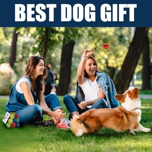 AMA SPORT Small Tennis Balls for Dogs 12 Pack 2.0" Multi Colors Dog Tennis Balls for Puppy Small Dog Toys, Designed for Dogs Floating Water-Hunting Fetch Fun Playing Daily Exercise Mid-air Catching