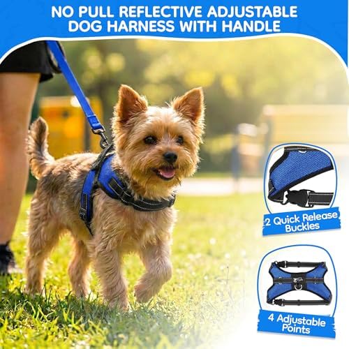 No Pull Reflective Adjustable Dog Harness With Handle- Comfortable Soft All Weather Mesh, Easy On Puppy Harness For Small Medium and Large Dogs (Blue) XX-Small