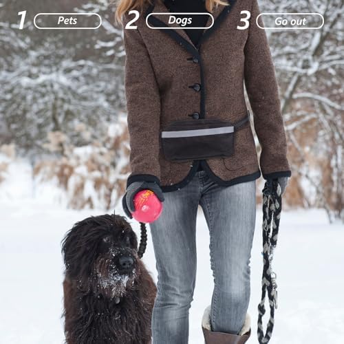Hands-Free Dog Leash with Bungee Shock-Absorbing Waist Belt and Reflective Strap, Running Lead for Outdoor Jogging and Walking with Black Elastic Dog Leash