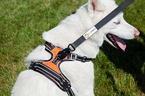6FT Silicone Dog Leash Heavy Duty with Quick Release/Locking Carabiner - Waterproof Tactical Dog Leash for Medium Dogs & Large Dogs that Pull, Safety Control Dog Training Leashes (6 FT Black)