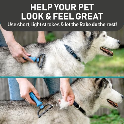 Maxpower Planet Pet Grooming Brush and 2X Grooming Gloves Combo - Double Sided Dematting, Deshedding Undercoat Rake for Dogs and Cats - Reduce Shedding Easily - Blue