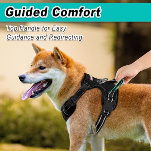 BARKBAY Dog Harness for Large Dog No Pull Mesh 2 Clips Dog Vest