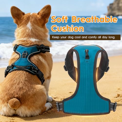No Pull Dog Harness, No-Choke Soft Padded Reflective Dog Vest Harness with Front Clip & Top Handle, 2 Quick-Release Buckles, Adjustable for Small Medium Large Dogs